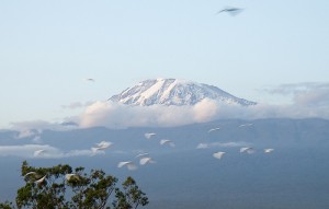 Uhuru Peak