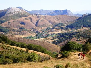 pedales-de-leon-picos-de-europa