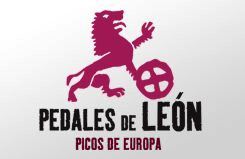 pedales-de-leon-picos-de-europa