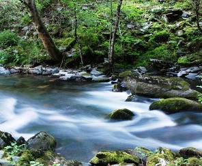 galicia-verde