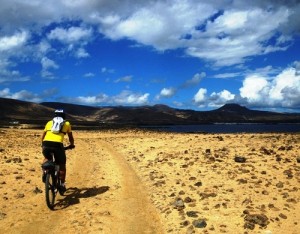 Pedales de lava en la isla de Lanzarote