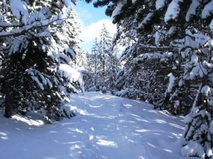 En invierno el paisaje cambia totalmente y las raquetas de nieve a menudo son imprescindibles para progresar