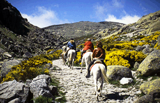 Alojamiento en casas rurales para disfrutar de Gredos es una buena idea