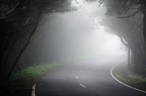 Hasta la carretera entre la niebla parece de una película de suspense