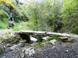 BTT en el P.N de Grazalema y  los Alcornocales 