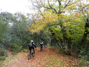 Unas rutas circulares cerca de Córdoba muy interesantes