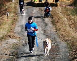 El canicross es una carrera de perros variante del mushering