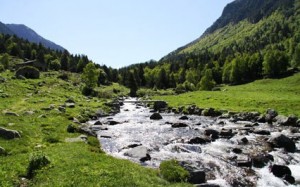 El Valle de Madriu es rico en fauna y flora de montaña