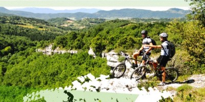 TransEuskadi