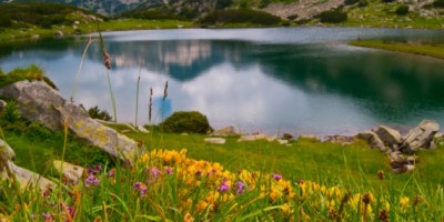 Parque-nacional-pirin-bulgaria