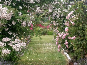 Jardines-de-Roquelin