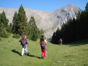 pico-cotiella-desde-armenña