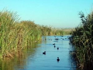 La-Albufera-de-Valencia