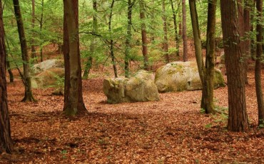 boulder-en-fontainebleau