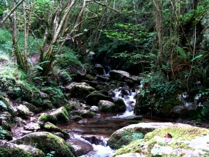 ruta-desfiladero-de-las-xanas