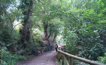 via-verde-la-senda-del-oso