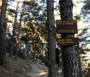 Pico-Montón-de-Trigo-desde-Navacerrada