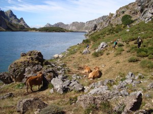 Lago-del-valle