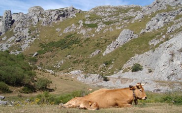 Ruta-del-valle-del-lago-en-asturias