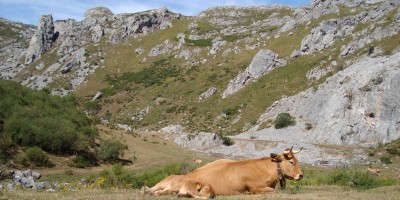 Ruta-del-valle-del-lago-en-asturias