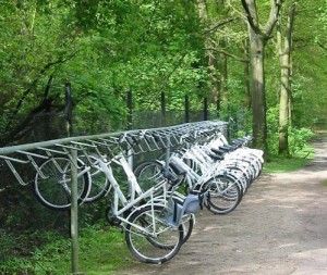 parque-nacional-de-holanda-hoge-veluwe