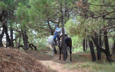 parque-natural-de-liencres