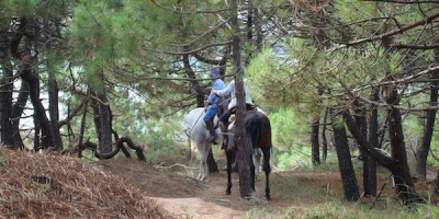 parque-natural-de-liencres