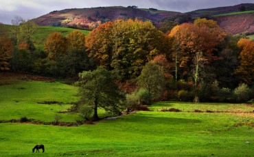 valle_de_baztan_navarra