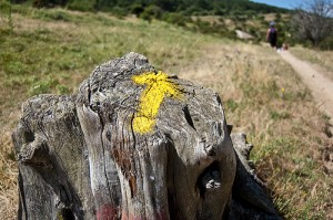 Flecha-amarilla-camino-plata