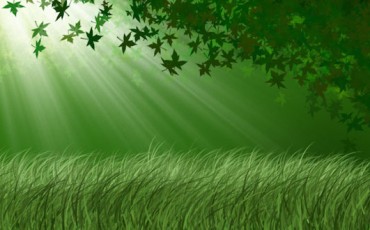 la-revolución-verde