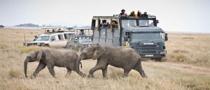 viajes-overland-africa