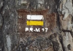 marcas-pr-m-17-el-valle-de-la-barranca