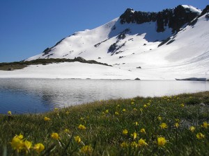 parque-Nacional-de-Guadarrama