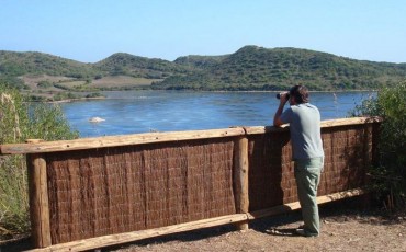 Reserva-biosfera-la-albufera-des-grau-menorca