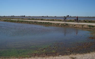 laguna_encanyissada_delta_del_ebre