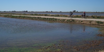 laguna_encanyissada_delta_del_ebre