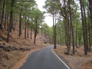 carretera-acceso-la-cumbrecita-la-palma