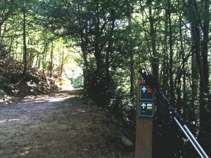 ruta-a-pie-avioneta-estrellada-montseny