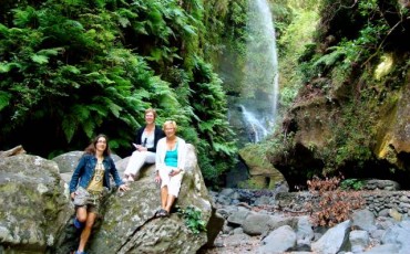 bosque-tilos-la-palma