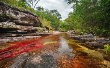 el-rio-de-colores-de-caño-cristales