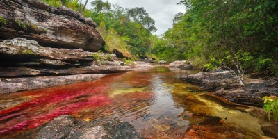 el-rio-de-colores-de-caño-cristales