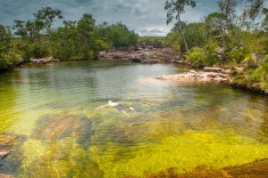 caño-cristales-colombia