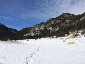 vall-de-la-llosa-cerdanya-raquetas-de-nieve
