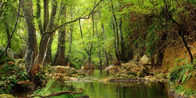 parque-natural-sierra-norte-Sevilla