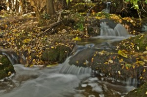 parque-natural-sierra-norte-sevilla