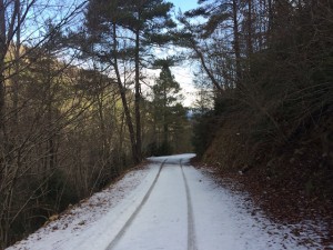 ruta-en-btt-serra-de-catllaras-en-bergueda