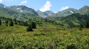 parque-nacional-sar-planina-serbia