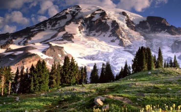 monte-rainier