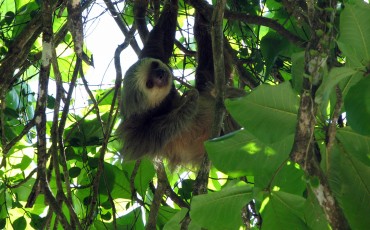 Costa_Rica-ecoturismo