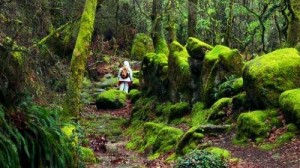 PARQUE-NACIONAL-PENEDA-GERÊS